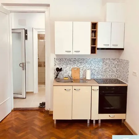 Joy City Paris 4 3 Apartment Timisoara